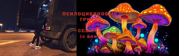 MDMA Белокуриха